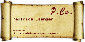 Paulnics Csenger névjegykártya